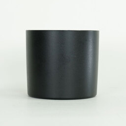 Canon EF100mm F2.8Lマクロ IS USM