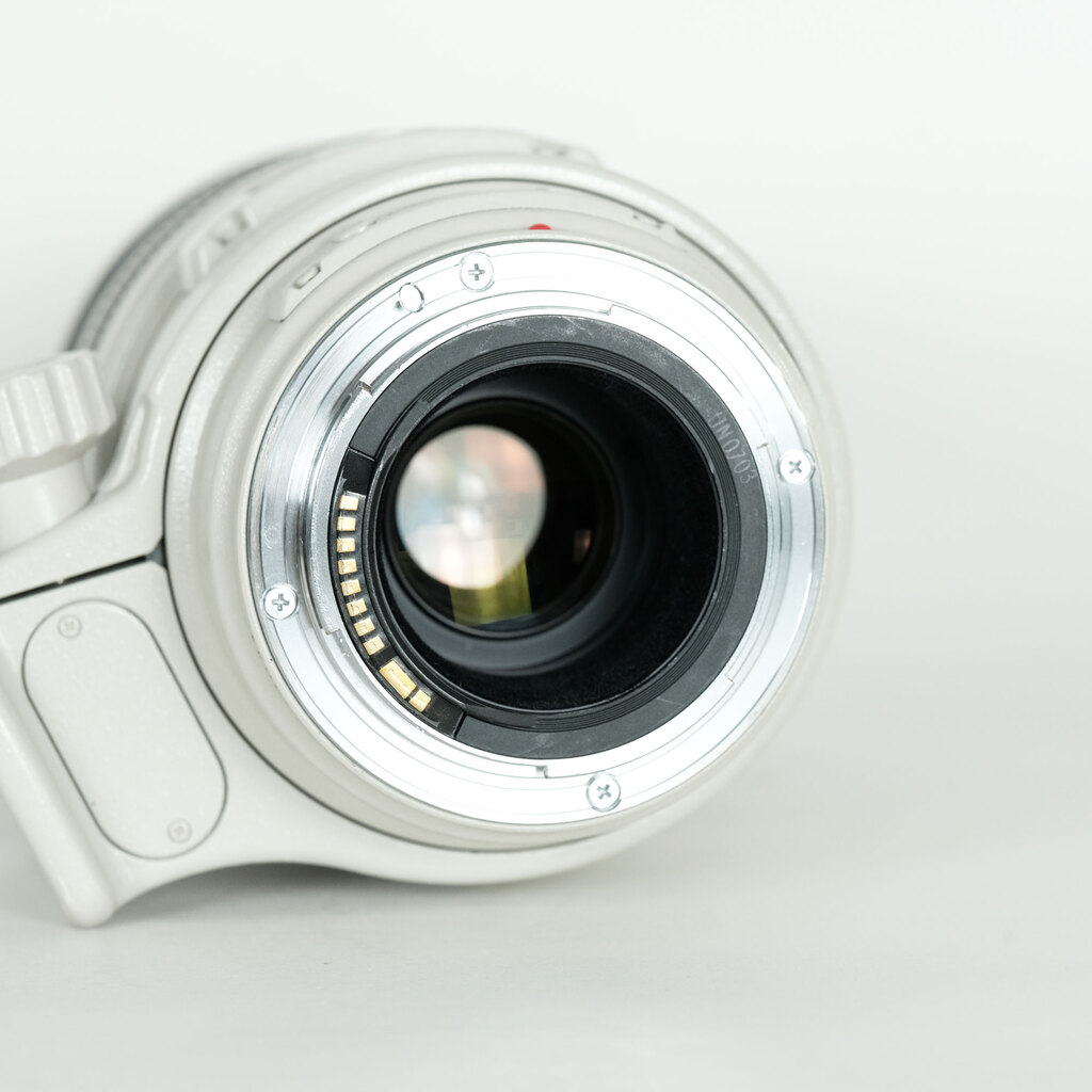 Canon EF100-400mm F4.5-5.6L IS USM