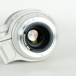 Canon EF100-400mm F4.5-5.6L IS USM