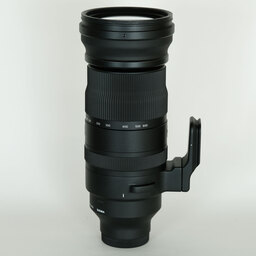 SIGMA 150-600mm F5-6.3 DG DN OS｜Sports [ソニーE用]