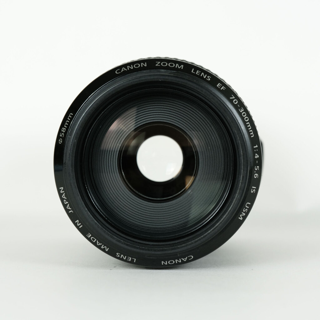 Canon EF70-300mm F4-5.6 IS USM