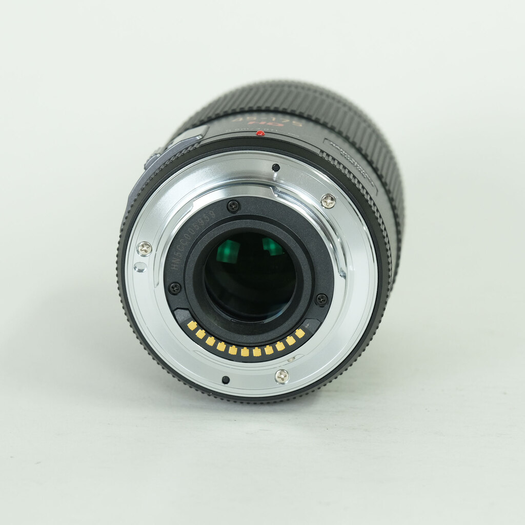 Panasonic LUMIX G X VARIO PZ 45-175mm / F4.0-5.6 ASPH. / POWER O.I.S.