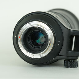 SIGMA 150-600mm F5-6.3 DG OS HSM｜Contemporary [ニコンF用]