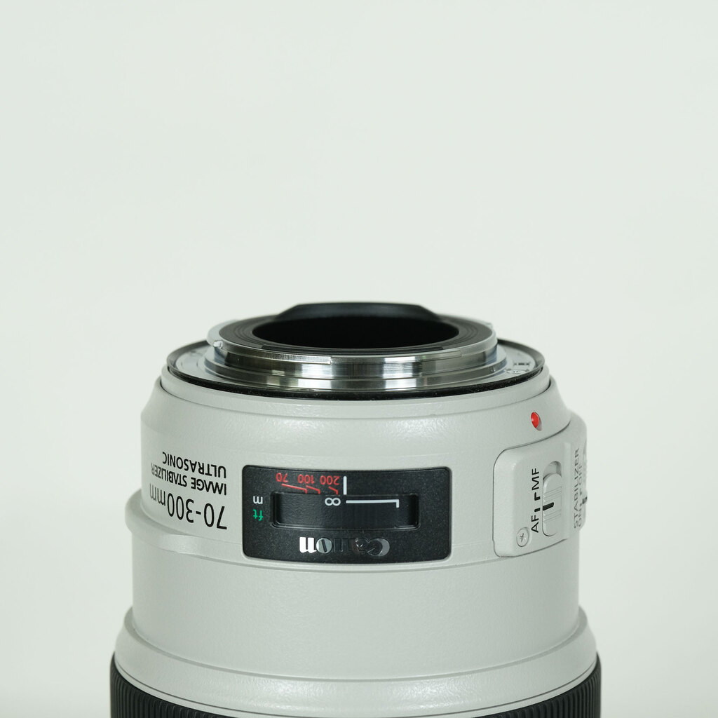 Canon EF70-300mm F4-5.6L IS USM