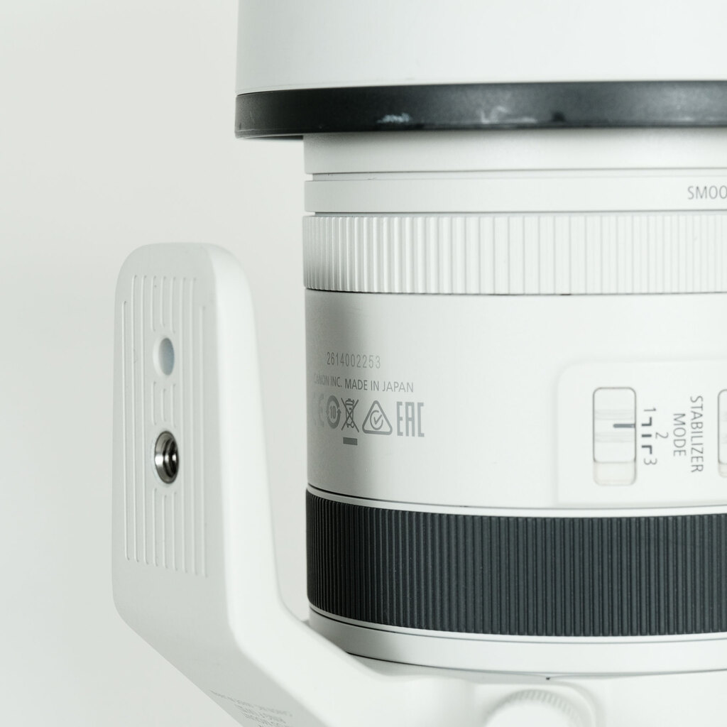 Canon RF100-500mm F4.5-7.1L IS USM