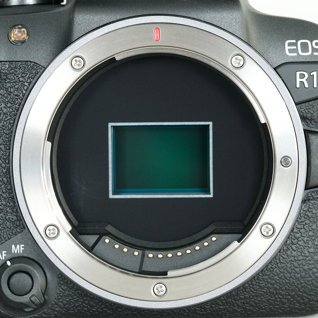 Canon EOS R10