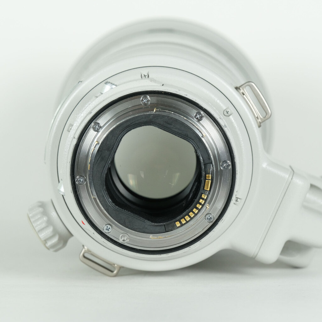 Canon EF300mm F2.8L IS II USMの出品 | ONE SCENE（ワンシーン）