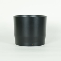 Canon EF70-300mm F4-5.6 IS II USM