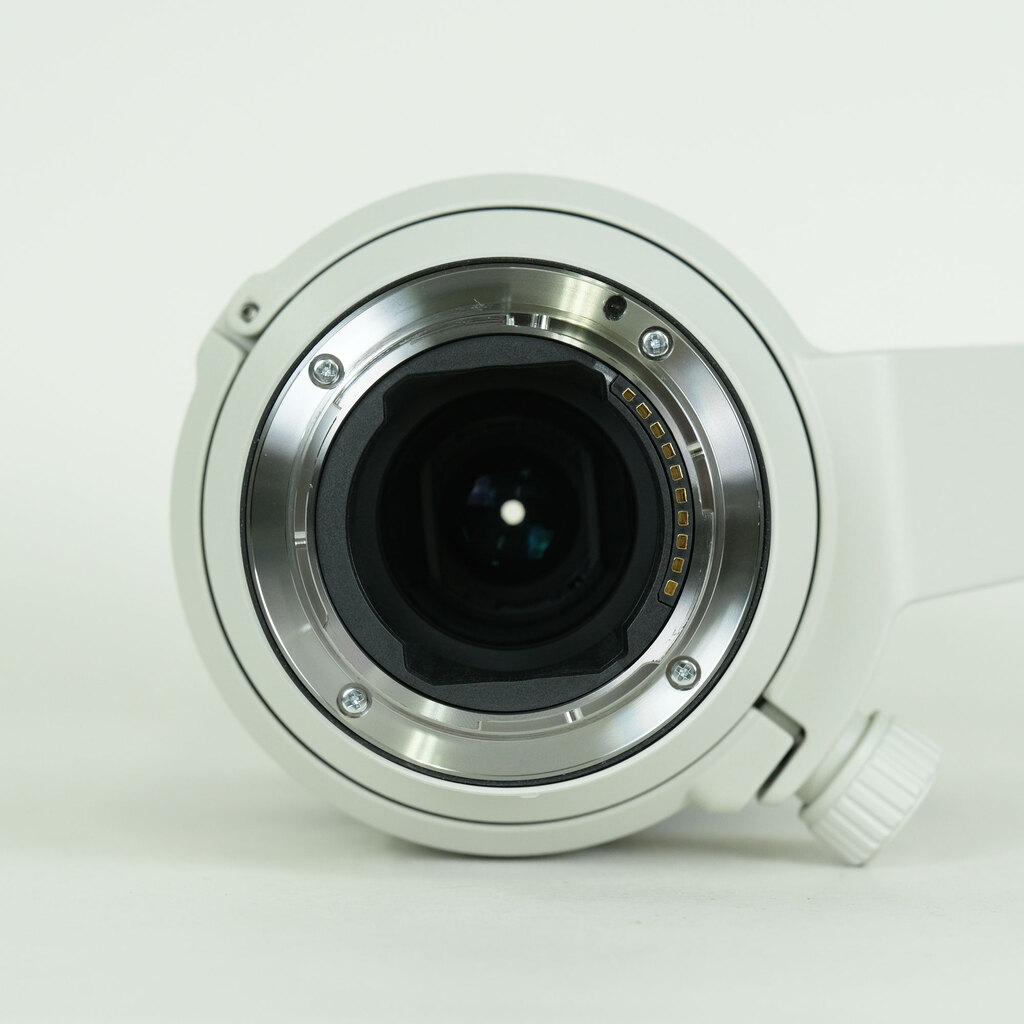 SONY FE70-200mm F4 Macro G OSS II SEL70200G2