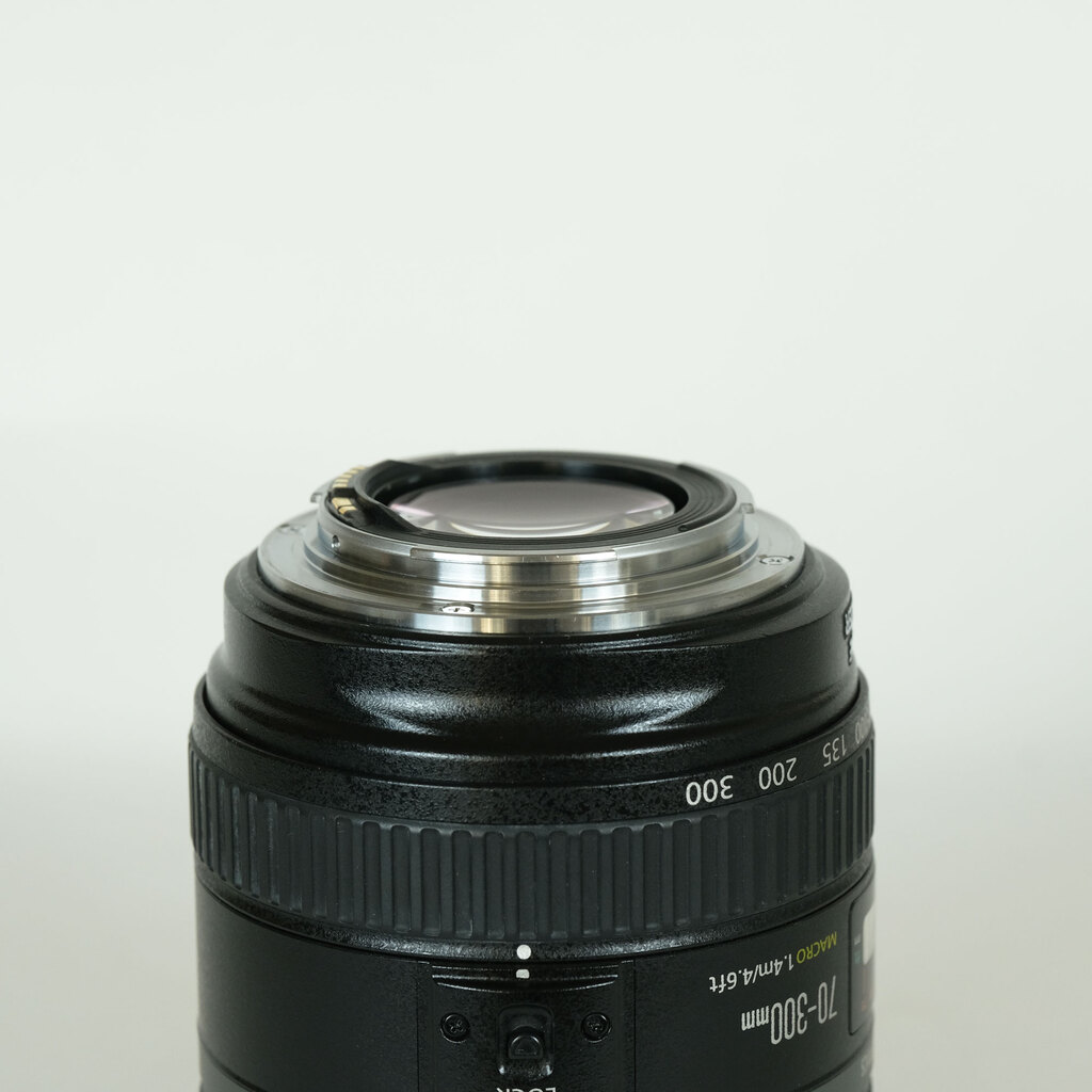 Canon EF70-300mm F4.5-5.6 DO IS USM