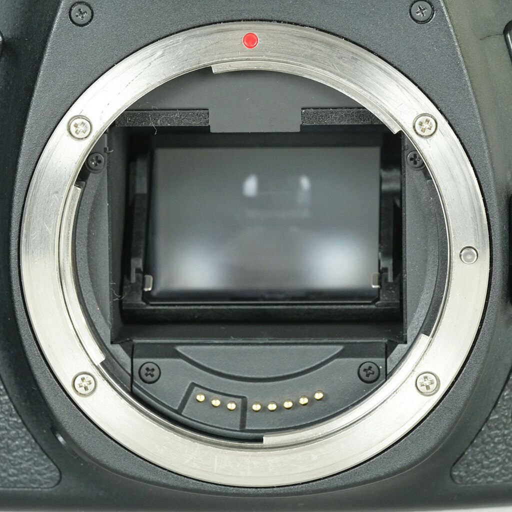 Canon EOS 6D Mark II