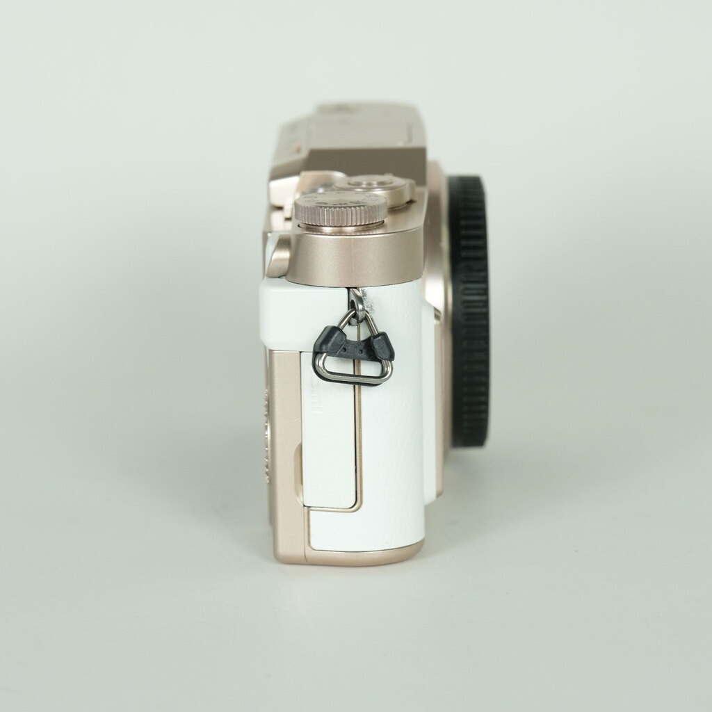Panasonic LUMIX DC-GF90 �{�f�B �z���C�g