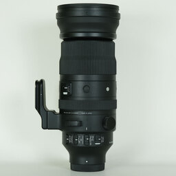 SIGMA 150-600mm F5-6.3 DG DN OS｜Sports [ソニーE用]