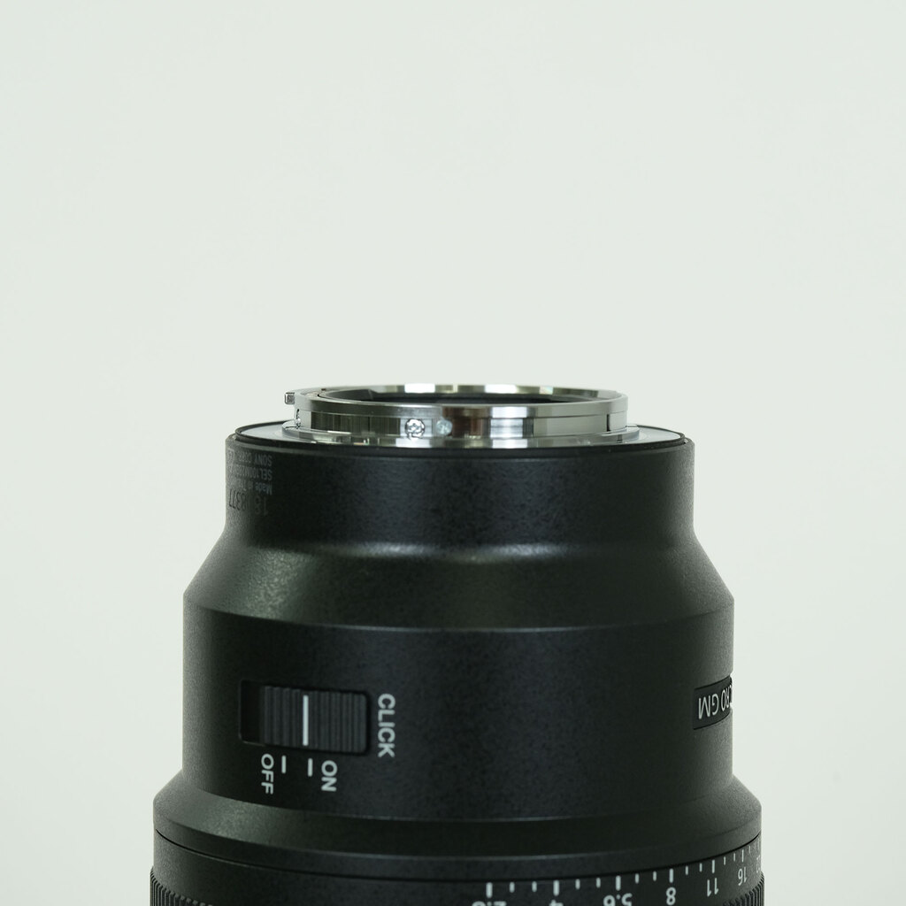 SONY FE 100mm F2.8 Macro GM OSS SEL100M28GM