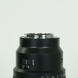 SONY FE 100mm F2.8 Macro GM OSS SEL100M28GM