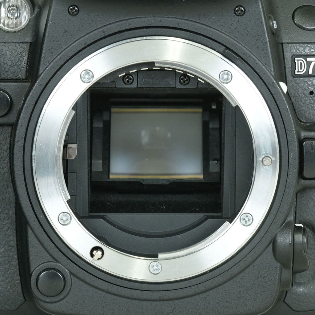 Nikon D7000