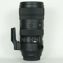 SIGMA 70-200mm F2.8 DG OS HSM｜Sports [キヤノン用]