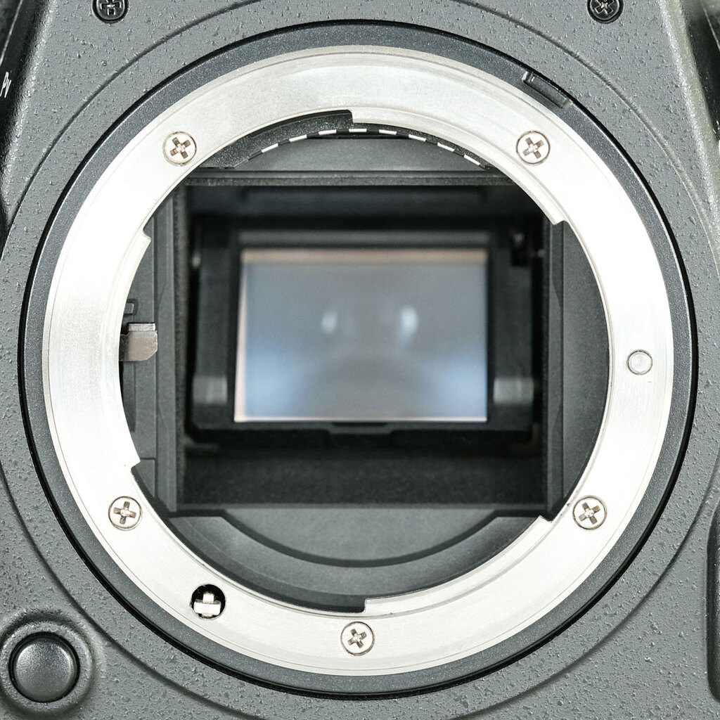 Nikon D500