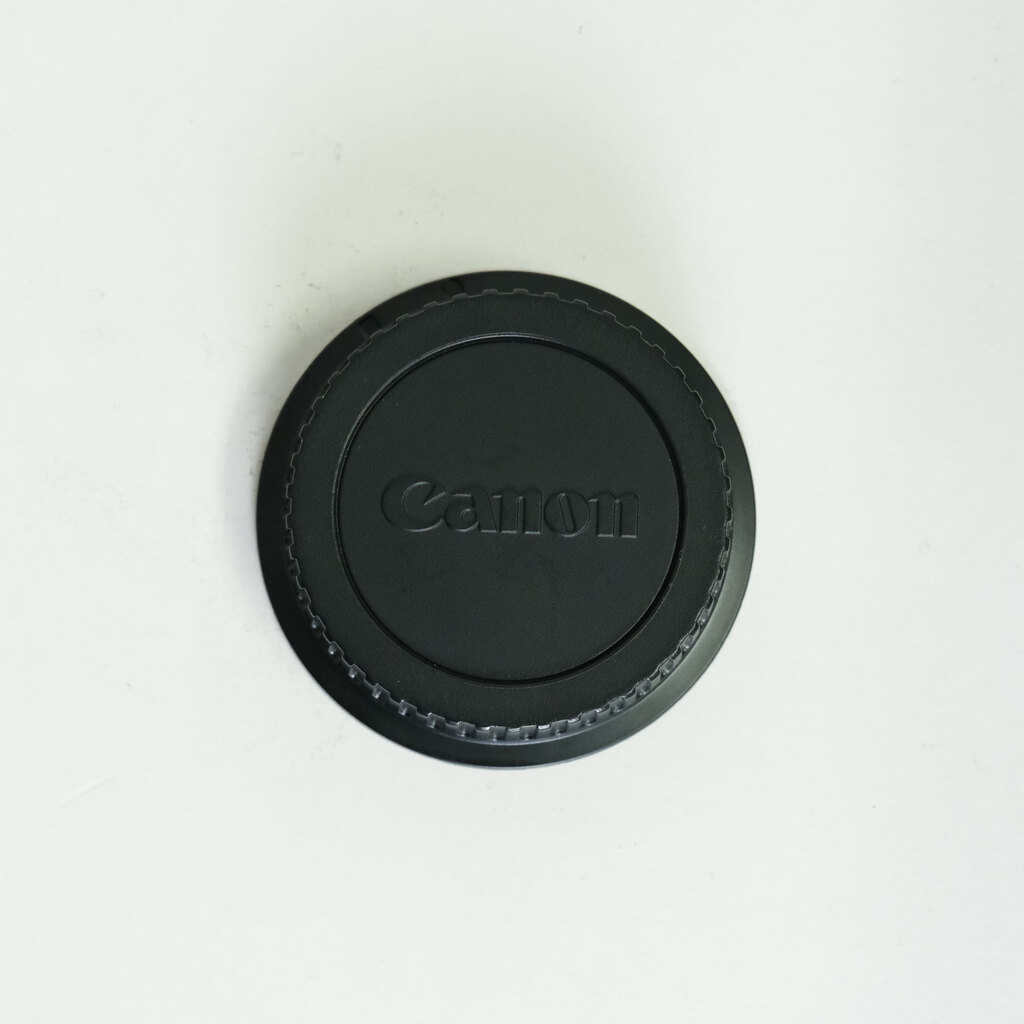 Canon EF100-400mm F4.5-5.6L IS USM