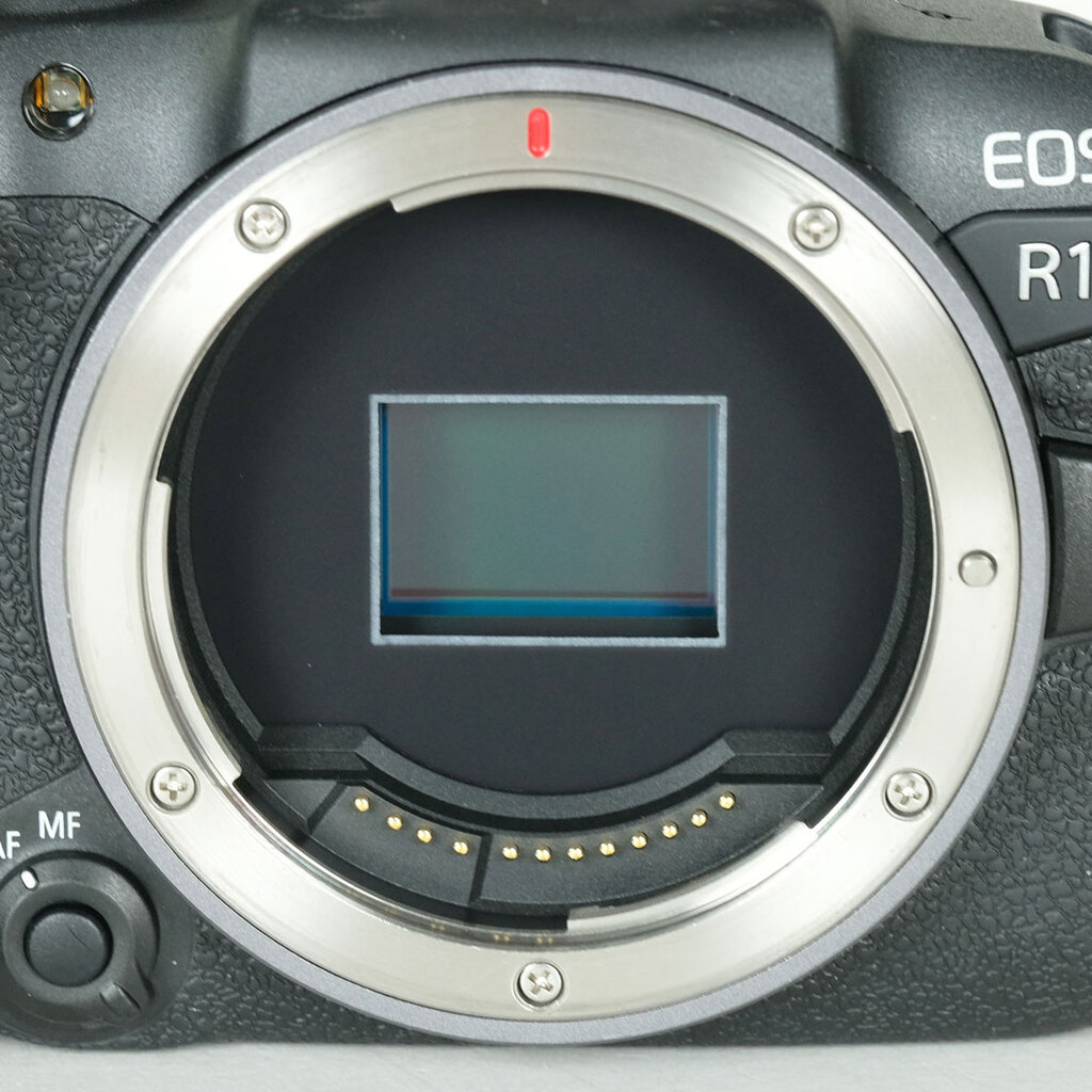 Canon EOS R10の出品 | ONE SCENE（ワンシーン）