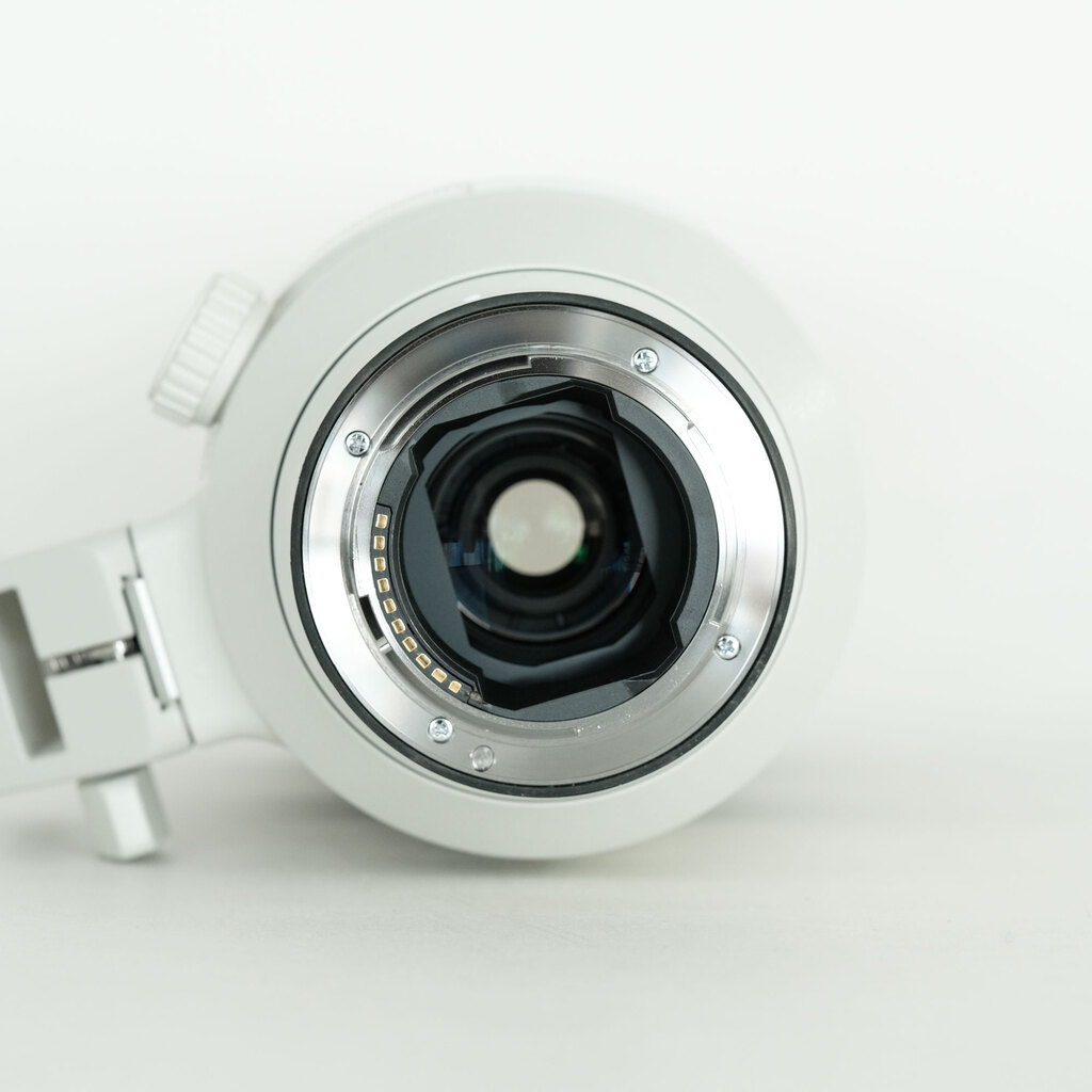 SONY FE 100-400mm F4.5-5.6 GM OSS SEL100400GM