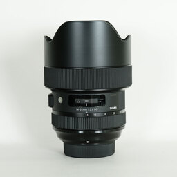 SIGMA 14-24mm F2.8 DG HSM｜Art [ニコンF用]