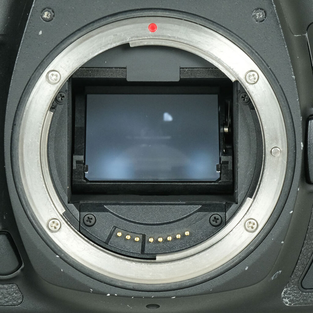 Canon EOS 5D Mark IV