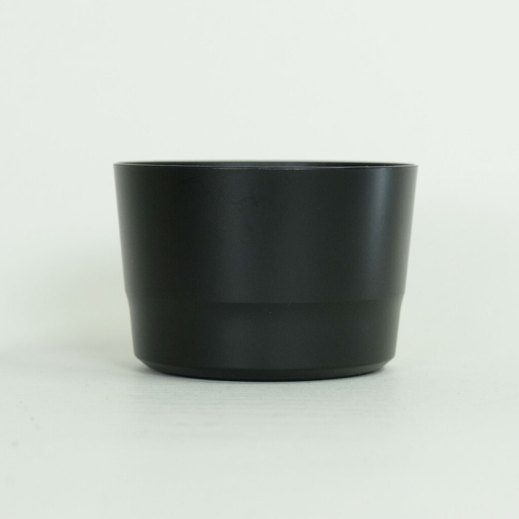 Canon EF-S55-250mm F4-5.6 IS STM