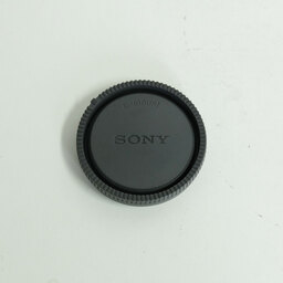 SONY Vario-Tessar T＊ E 16-70mm F4 ZA OSS SEL1670Z