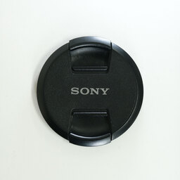 SONY FE 24-105mm F4 G OSS SEL24105G