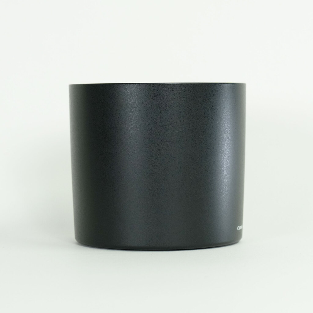 Canon EF100mm F2.8Lマクロ IS USM