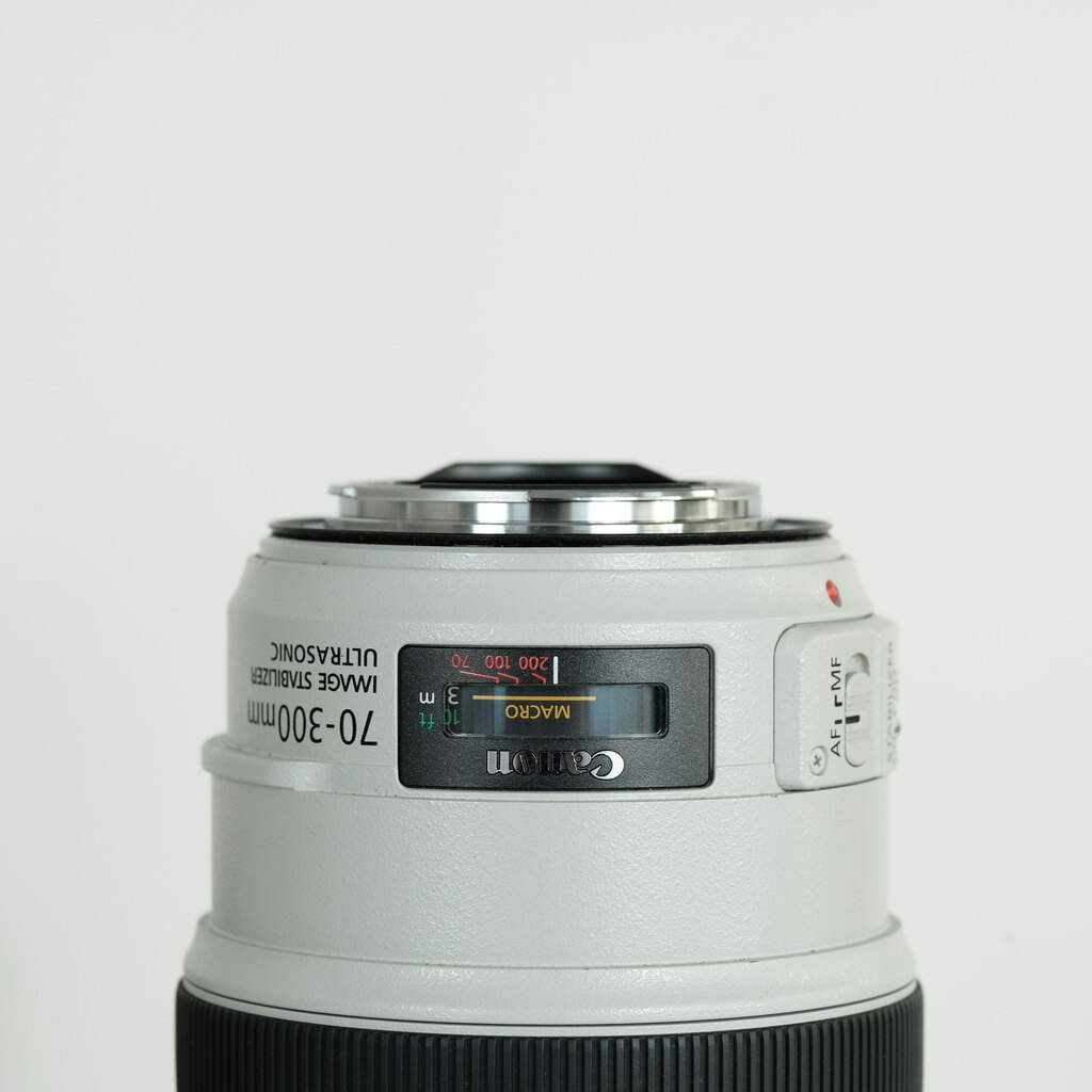 Canon EF70-300mm F4-5.6L IS USM