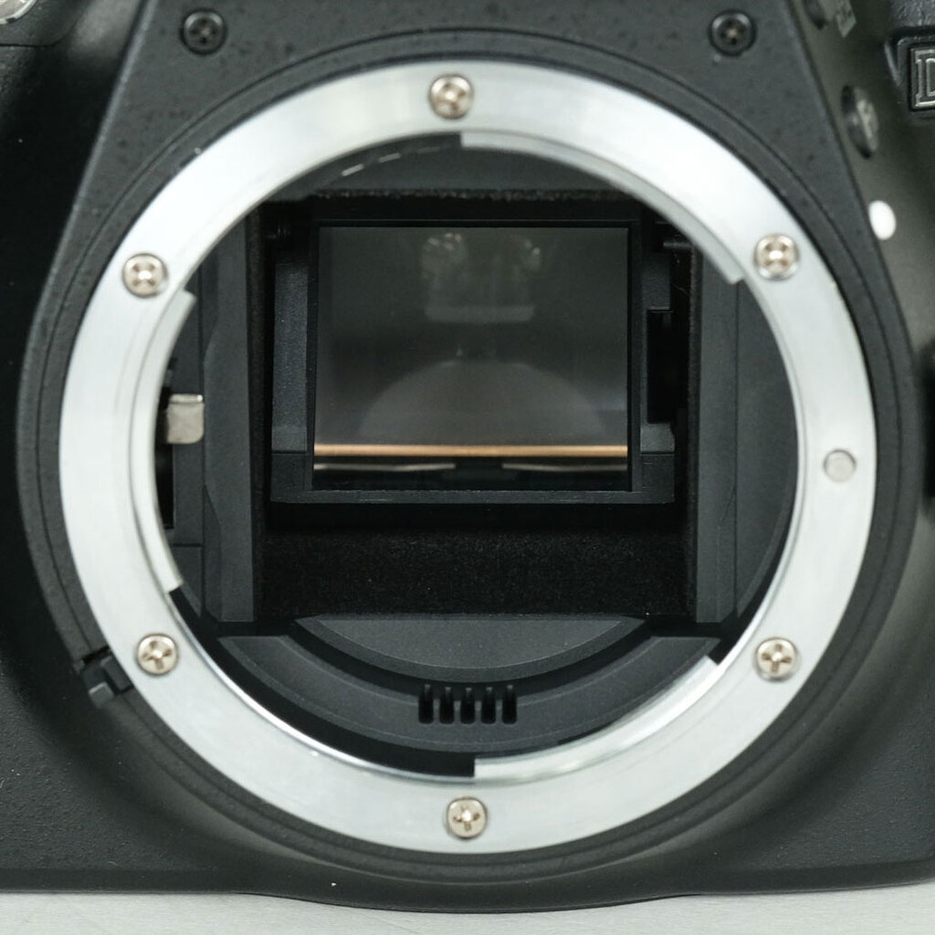 Nikon D3300