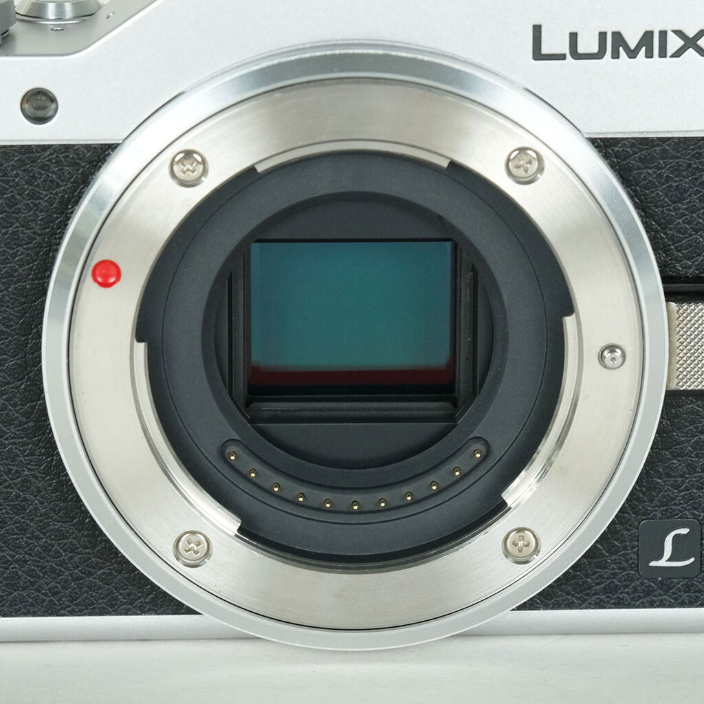 Panasonic LUMIX DC-GF9 ボディ シルバーの出品 | ONE SCENE（ワンシーン）