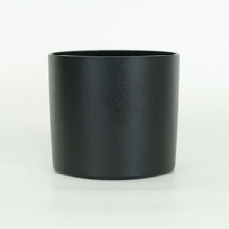 Canon EF100mm F2.8Lマクロ IS USM