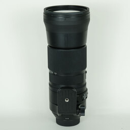SIGMA 150-600mm F5-6.3 DG OS HSM｜Contemporary [ニコンF用]