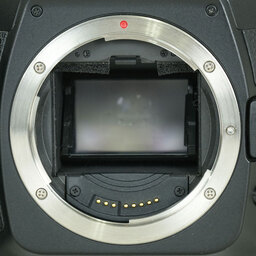 Canon EOS 5D ボディ