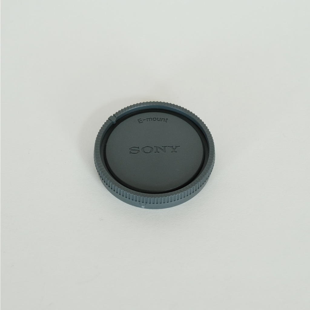 SONY FE 24-105mm F4 G OSS SEL24105G