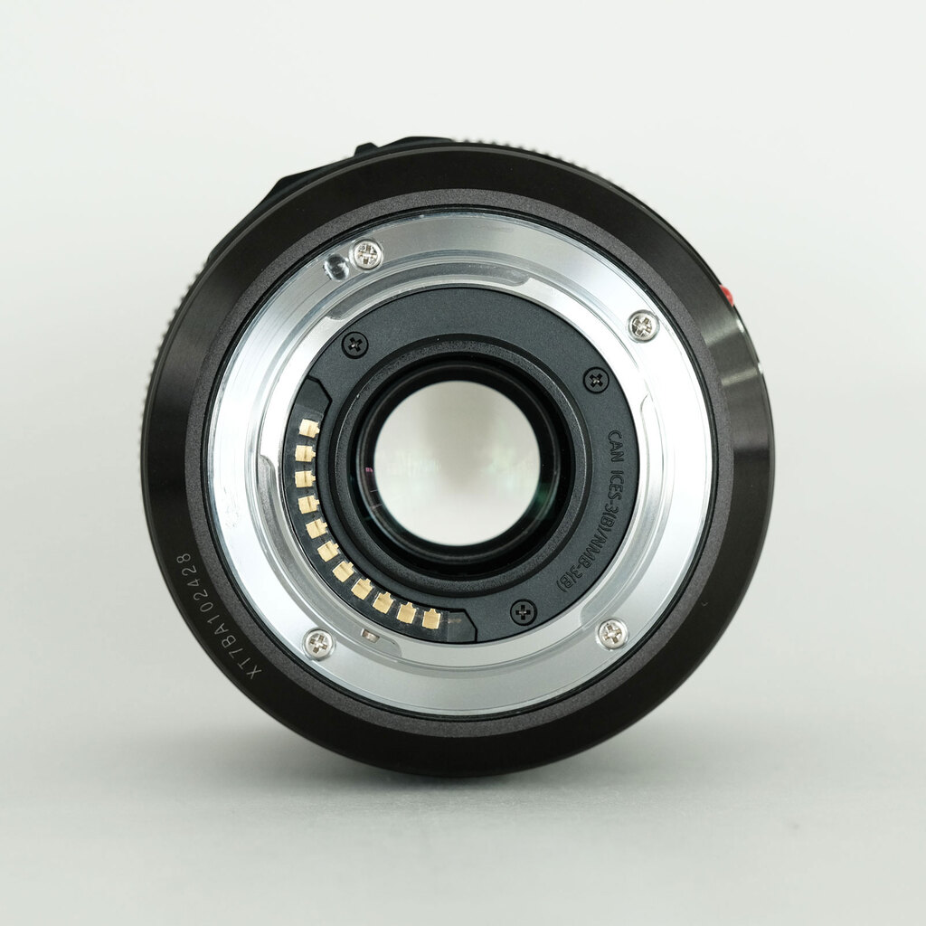 Panasonic LUMIX G X VARIO 12-35mm / F2.8 II ASPH. / POWER O.I.S.