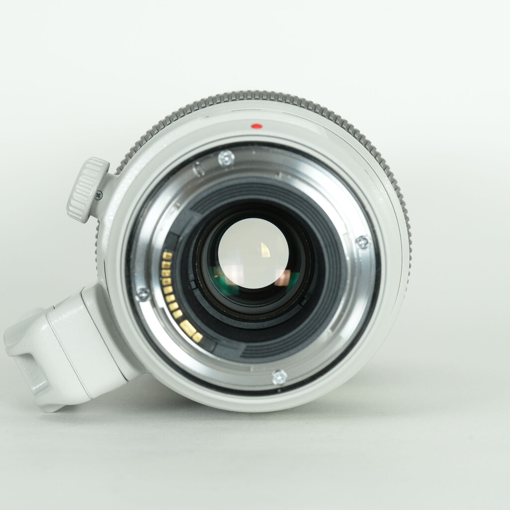 Canon EF100-400mm F4.5-5.6L IS II USM Canon EF100-400mm F4.5-5.6L IS II USM