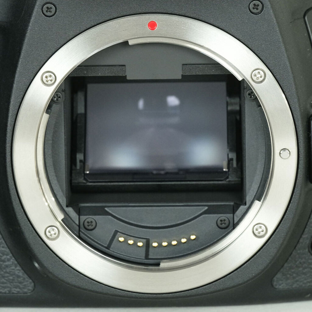 Canon EOS 6D Mark II