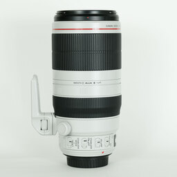 Canon EF100-400mm F4.5-5.6L IS II USM