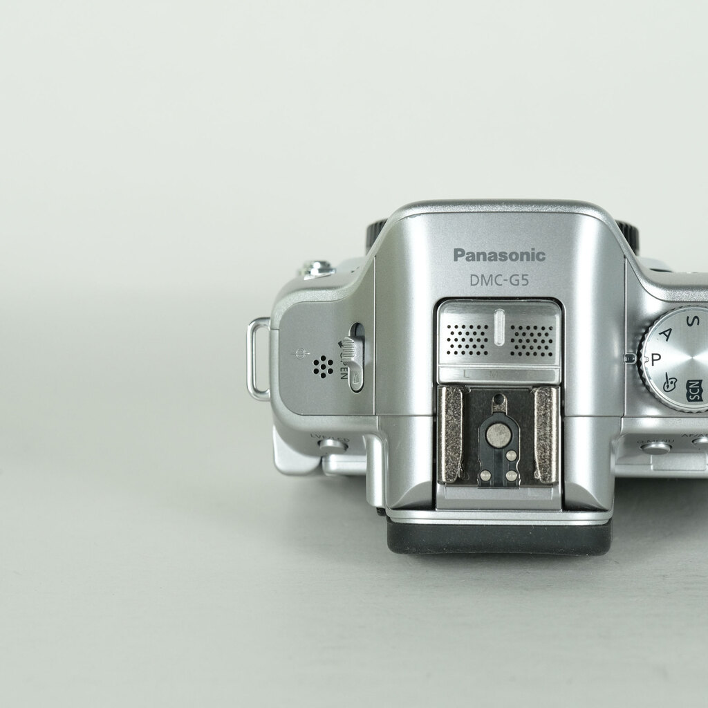 Panasonic LUMIX DMC-G5-S ボディ ソリッドシルバーの出品 | ONE SCENE