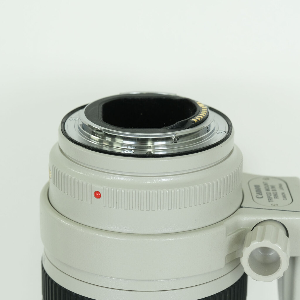 Canon EF70-200mm F2.8L IS II USM