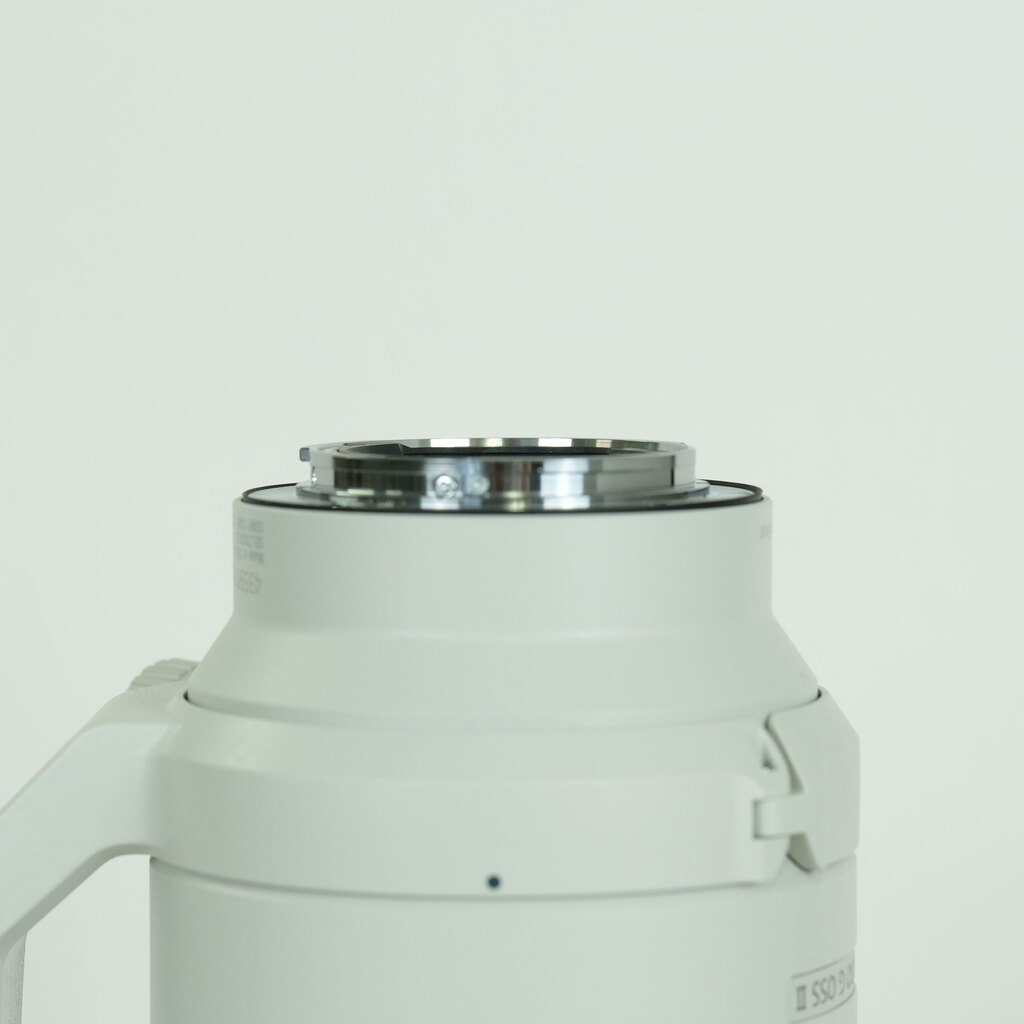 SONY FE70-200mm F4 Macro G OSS II SEL70200G2