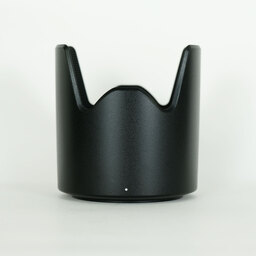 TAMRON SP 70-300mm F/4-5.6 Di VC USD (Model A030) [ニコンF用]