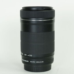 Canon EF-S55-250mm F4-5.6 IS STM