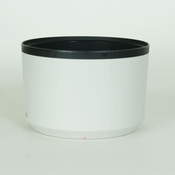 Canon RF70-200mm F2.8 L IS USM Canon RF70-200mm F2.8 L IS USM