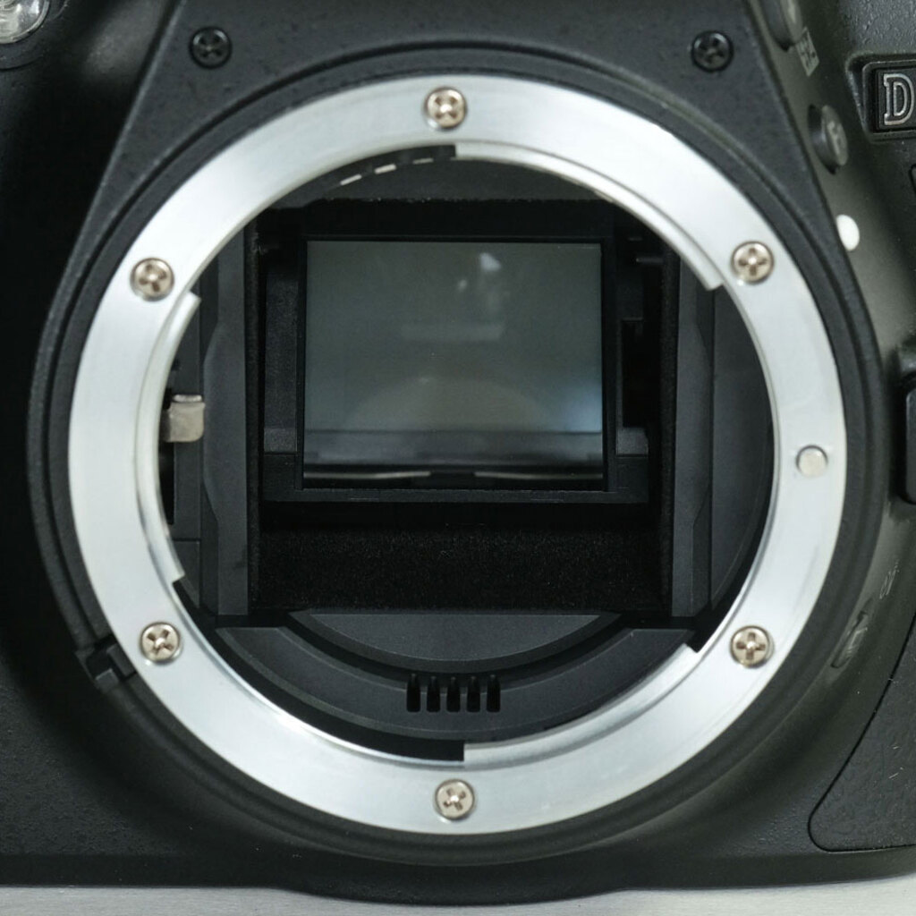 Nikon D5300