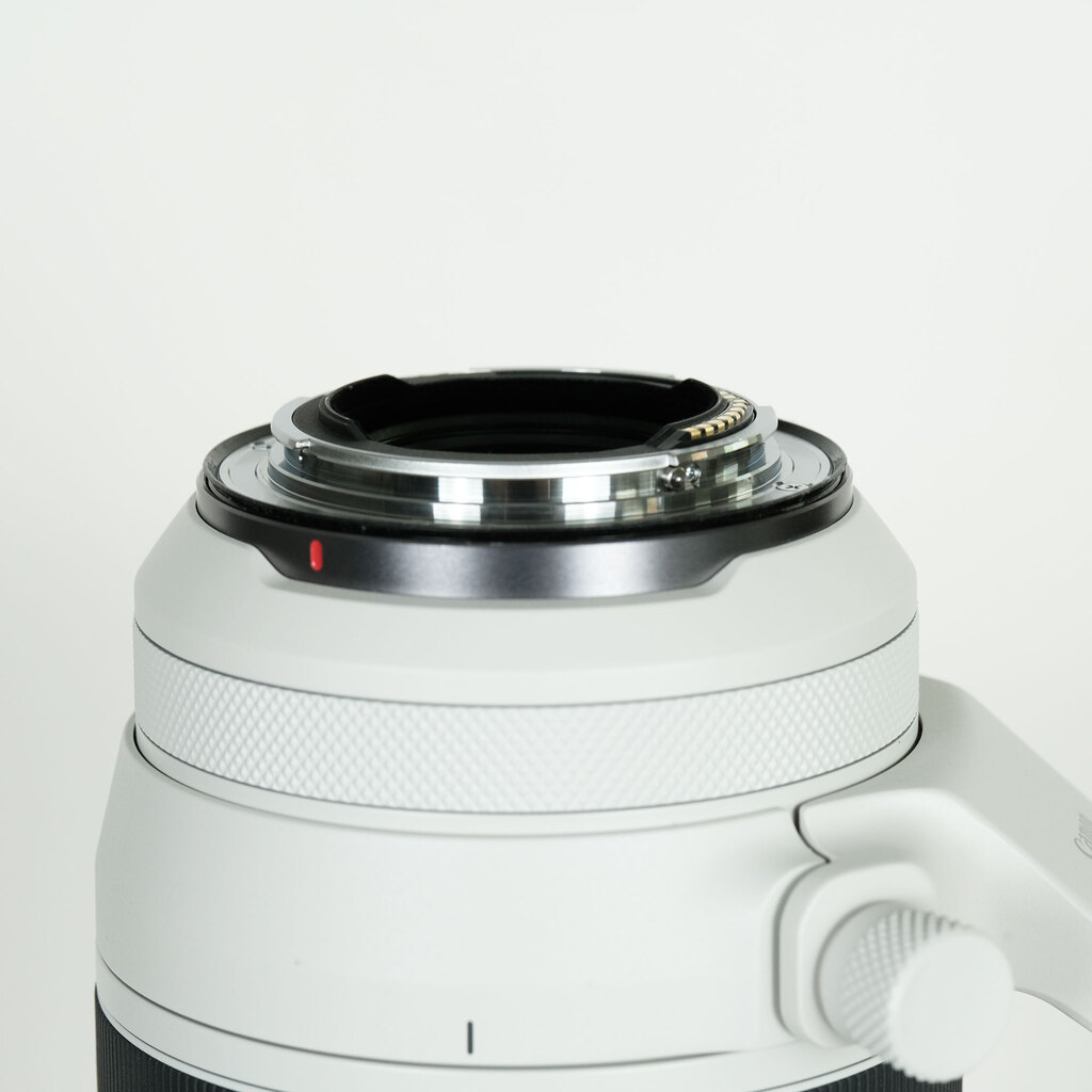 Canon RF100-500mm F4.5-7.1L IS USM